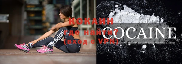 прущие грибы Нея