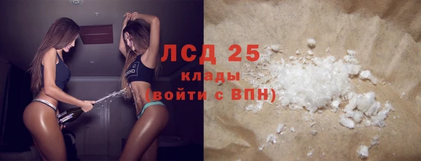 прущие грибы Нея