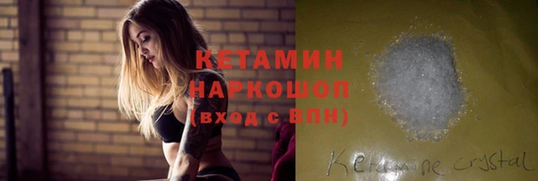 твердый Новозыбков