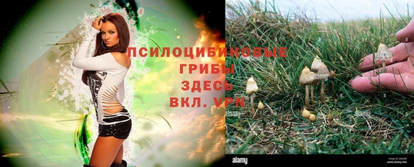 эйфоретик Новокубанск
