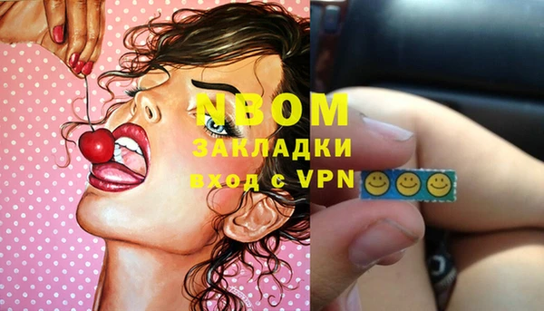 прущие грибы Нея