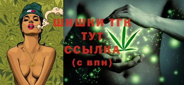 прущие грибы Нея