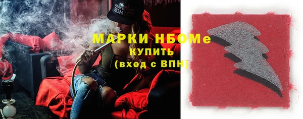 твердый Новозыбков
