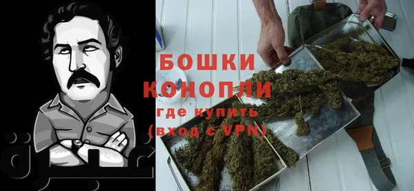 твердый Новозыбков