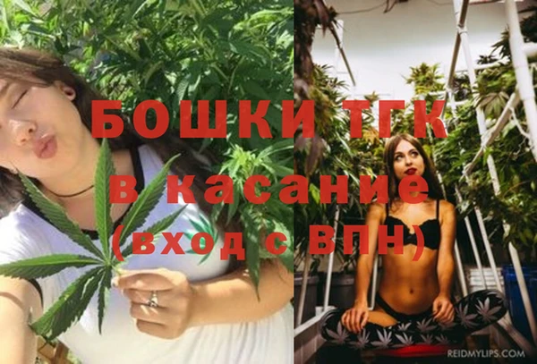 эйфоретик Новокубанск