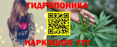 шишки Гусев