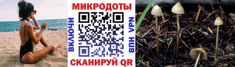 Псилоцибиновые грибы мицелий  купить  сайты  Клинцы 